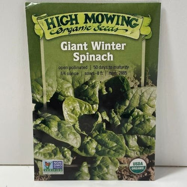 Giant Winter Spinach, Organic
